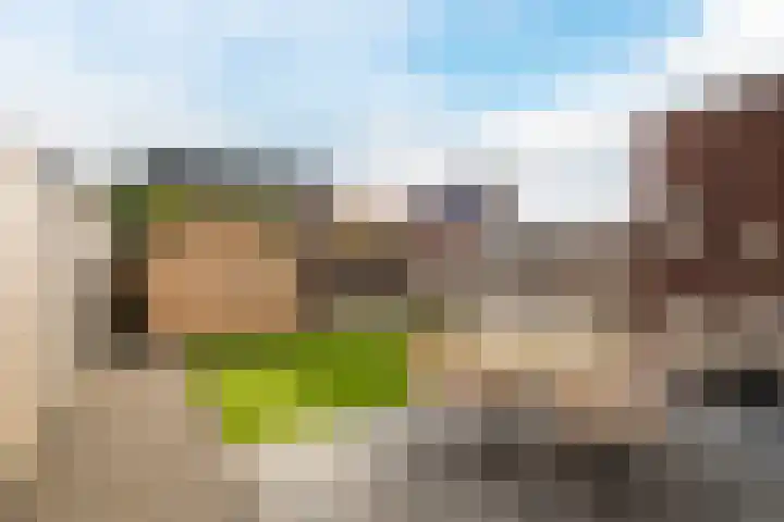 Sterakkers 17 Hoogeloon thumbnail 30