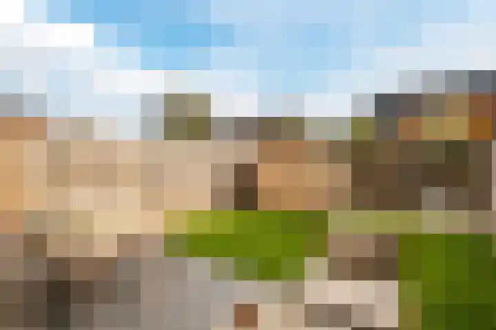Sterakkers 17 Hoogeloon thumbnail 31