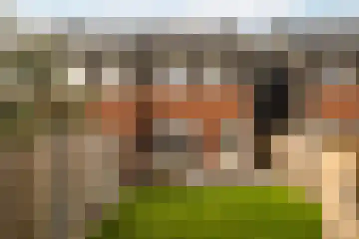 Sterakkers 17 Hoogeloon thumbnail 32