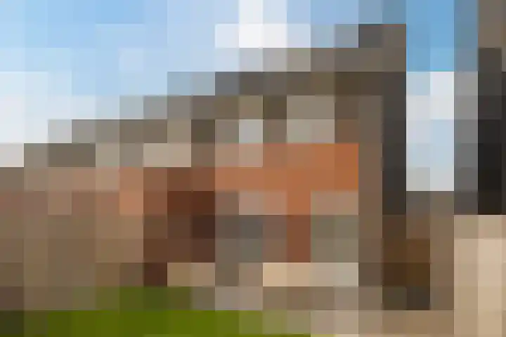Sterakkers 17 Hoogeloon thumbnail 33