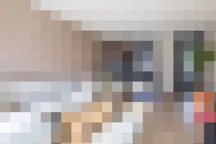 Sterakkers 17 Hoogeloon thumbnail 9