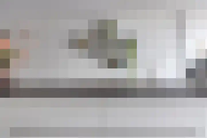 Sterappel 12 Asten thumbnail 13