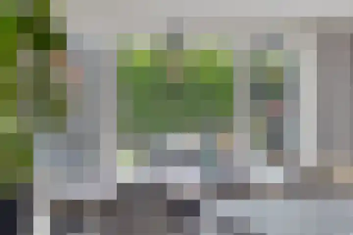 Sterappel 12 Asten thumbnail 18