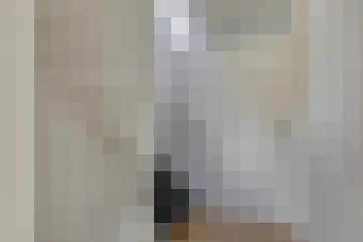 Sterappel 12 Asten thumbnail 24