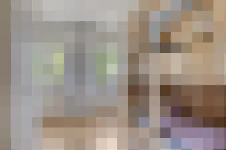 Sterappel 12 Asten thumbnail 29