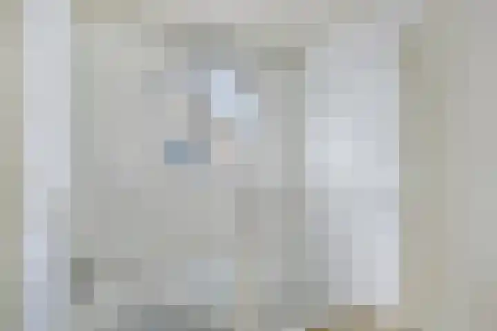 Sterappel 12 Asten thumbnail 31
