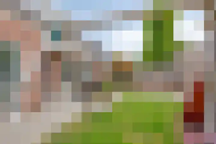 Sterappel 12 Asten thumbnail 37