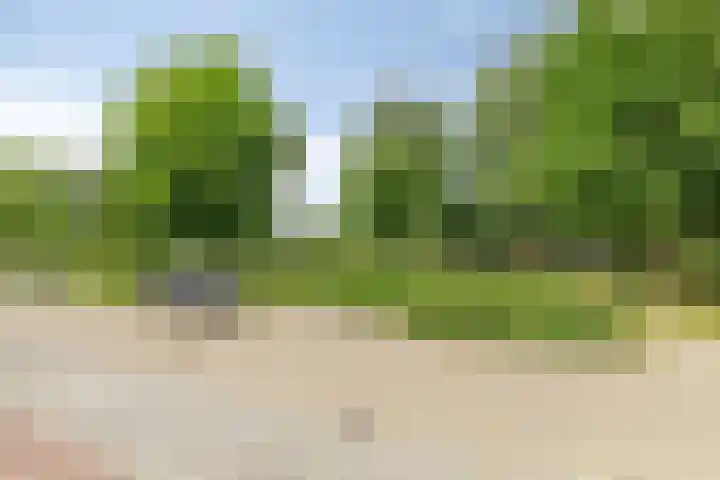Sterappel 12 Asten thumbnail 38
