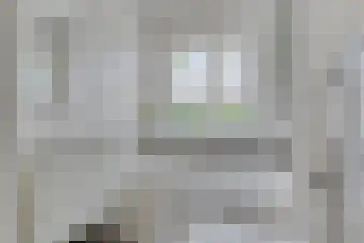 Sterappel 12 Asten thumbnail 4