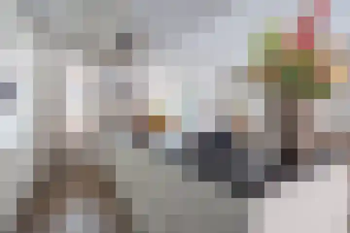 Sterappel 18 Alphen thumbnail 13