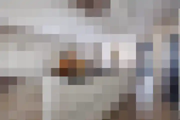 Sterappel 18 Alphen thumbnail 14