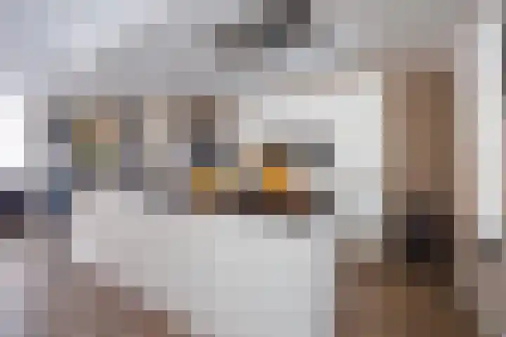 Sterappel 18 Alphen thumbnail 16