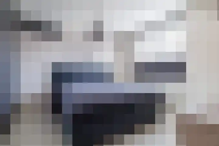 Sterappel 18 Alphen thumbnail 20