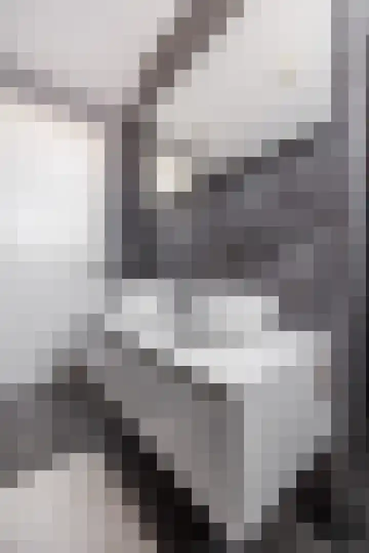 Sterappel 18 Alphen thumbnail 32