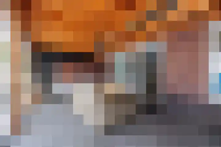 Sterappel 18 Alphen thumbnail 43
