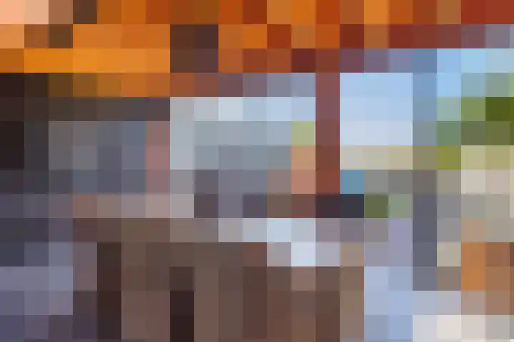 Sterappel 18 Alphen thumbnail 45