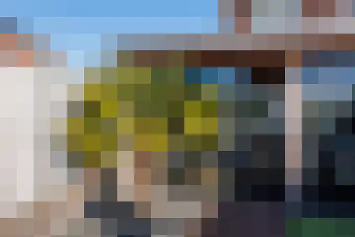 Sterappel 18 Alphen thumbnail 47
