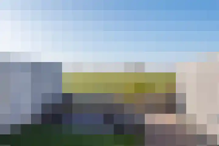Sterappel 18 Alphen thumbnail 50