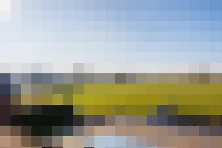 Sterappel 18 Alphen thumbnail 51