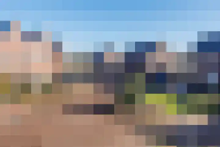 Sterappel 18 Alphen thumbnail 55