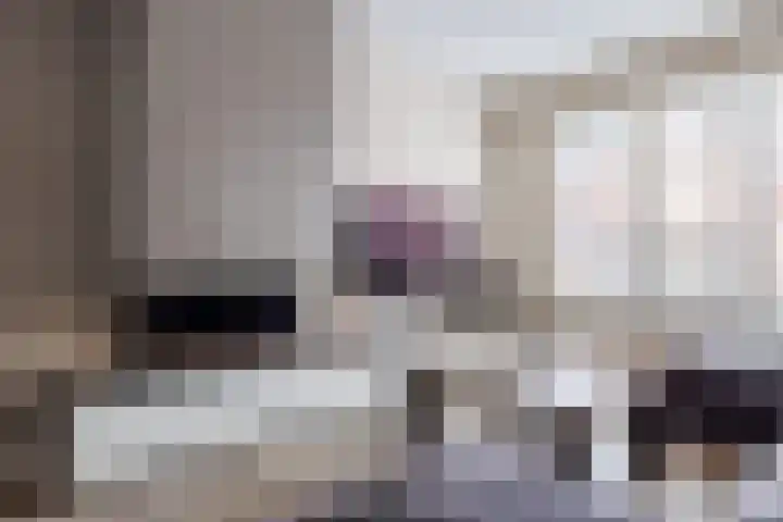 Sterappel 18 Alphen thumbnail 8