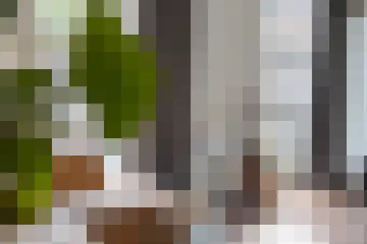 Sterappel 21 Helden thumbnail 12