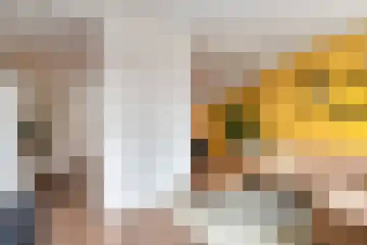 Sterappel 21 Helden thumbnail 14