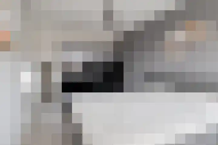 Sterappel 21 Helden thumbnail 22