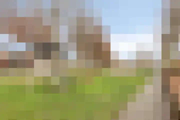 Sterappel 21 Helden thumbnail 37