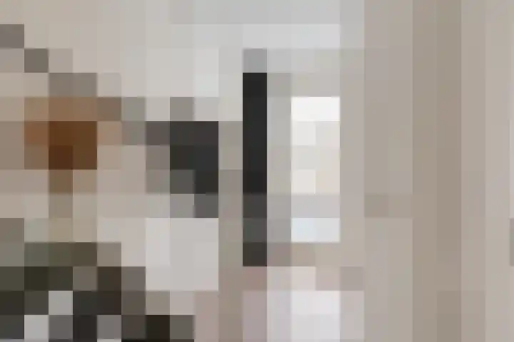 Sterappel 21 Helden thumbnail 5