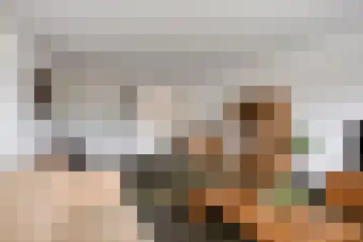 Sterappel 29 Heino thumbnail 11