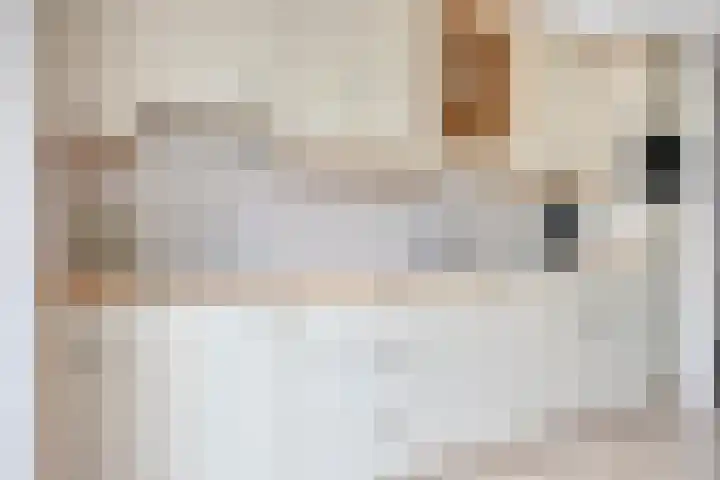 Sterappel 29 Heino thumbnail 14