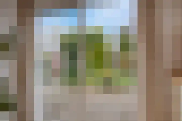 Sterappel 29 Heino thumbnail 16