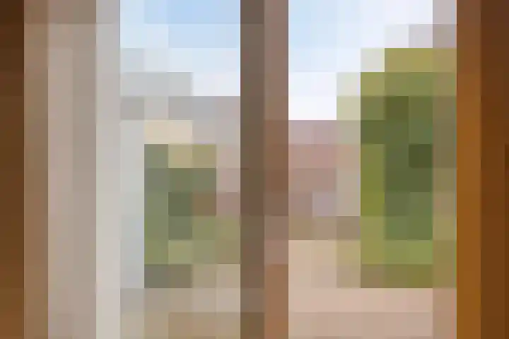 Sterappel 29 Heino thumbnail 19