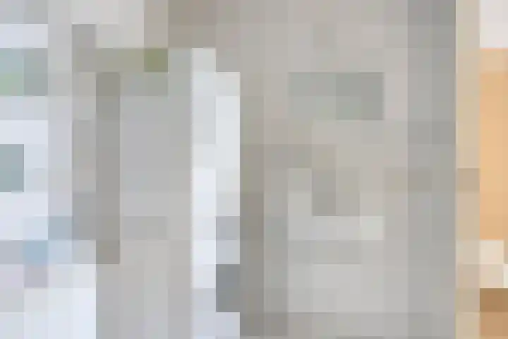 Sterappel 29 Heino thumbnail 21