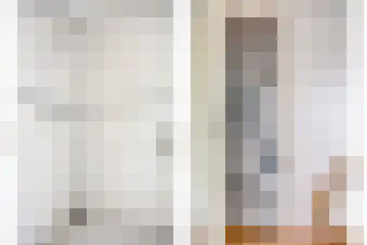 Sterappel 29 Heino thumbnail 22