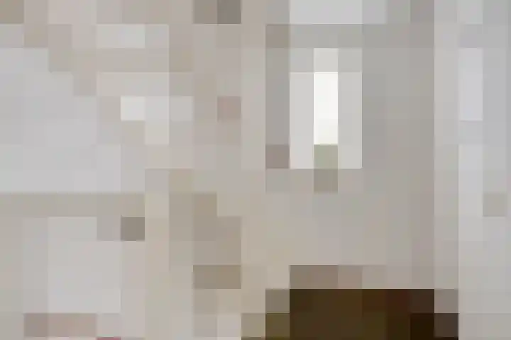 Sterappel 29 Heino thumbnail 23
