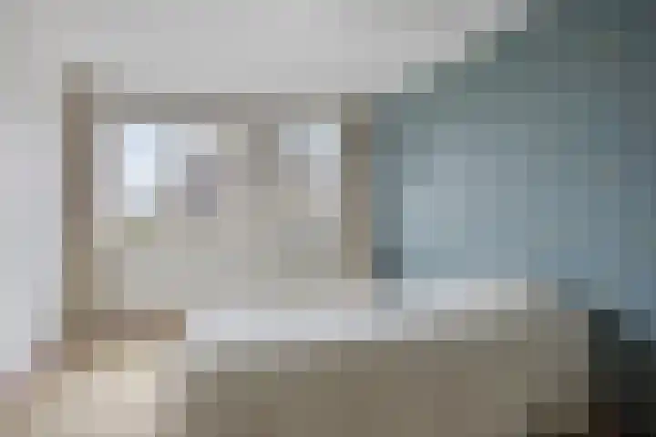 Sterappel 29 Heino thumbnail 24