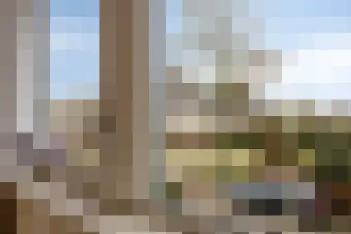 Sterappel 29 Heino thumbnail 32