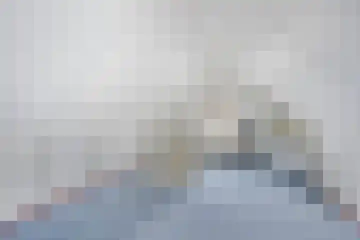Sterappel 29 Heino thumbnail 34