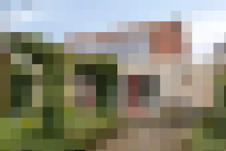 Sterappel 29 Heino thumbnail 40