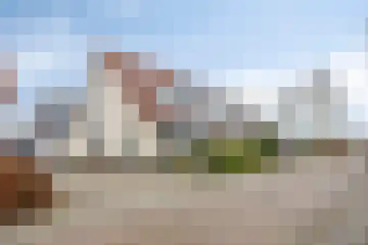 Sterappel 29 Heino thumbnail 41