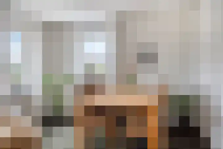 Sterappel 29 Heino thumbnail 9