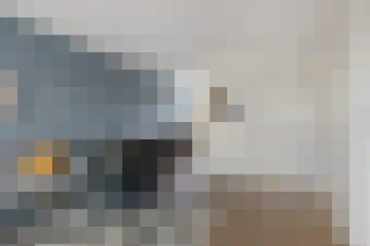Sterappel 43 Helden thumbnail 10