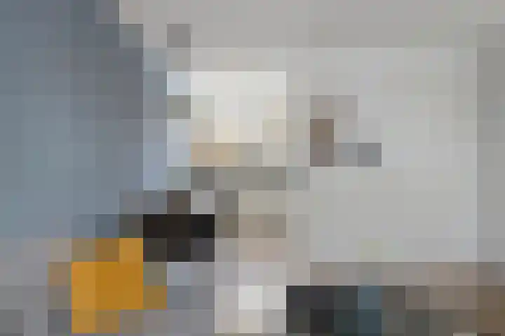 Sterappel 43 Helden thumbnail 11