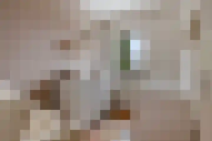 Sterappel 43 Helden thumbnail 23