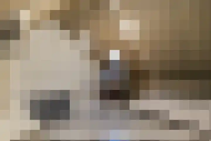 Sterappel 43 Helden thumbnail 24