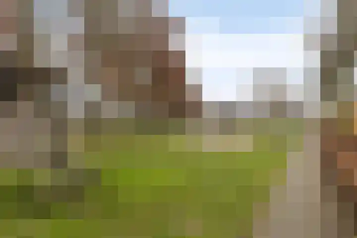 Sterappel 43 Helden thumbnail 30