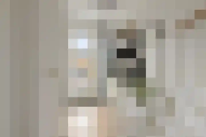 Sterappel 43 Helden thumbnail 6