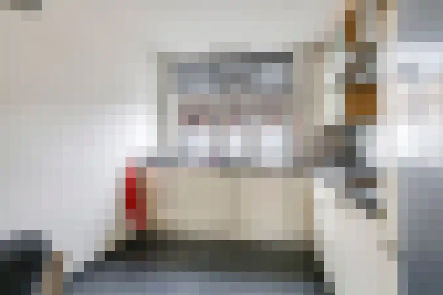 Sterappel 50 Zetten thumbnail 19